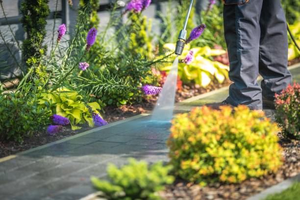 Best Residential Pressure Washing in Bostonia, CA